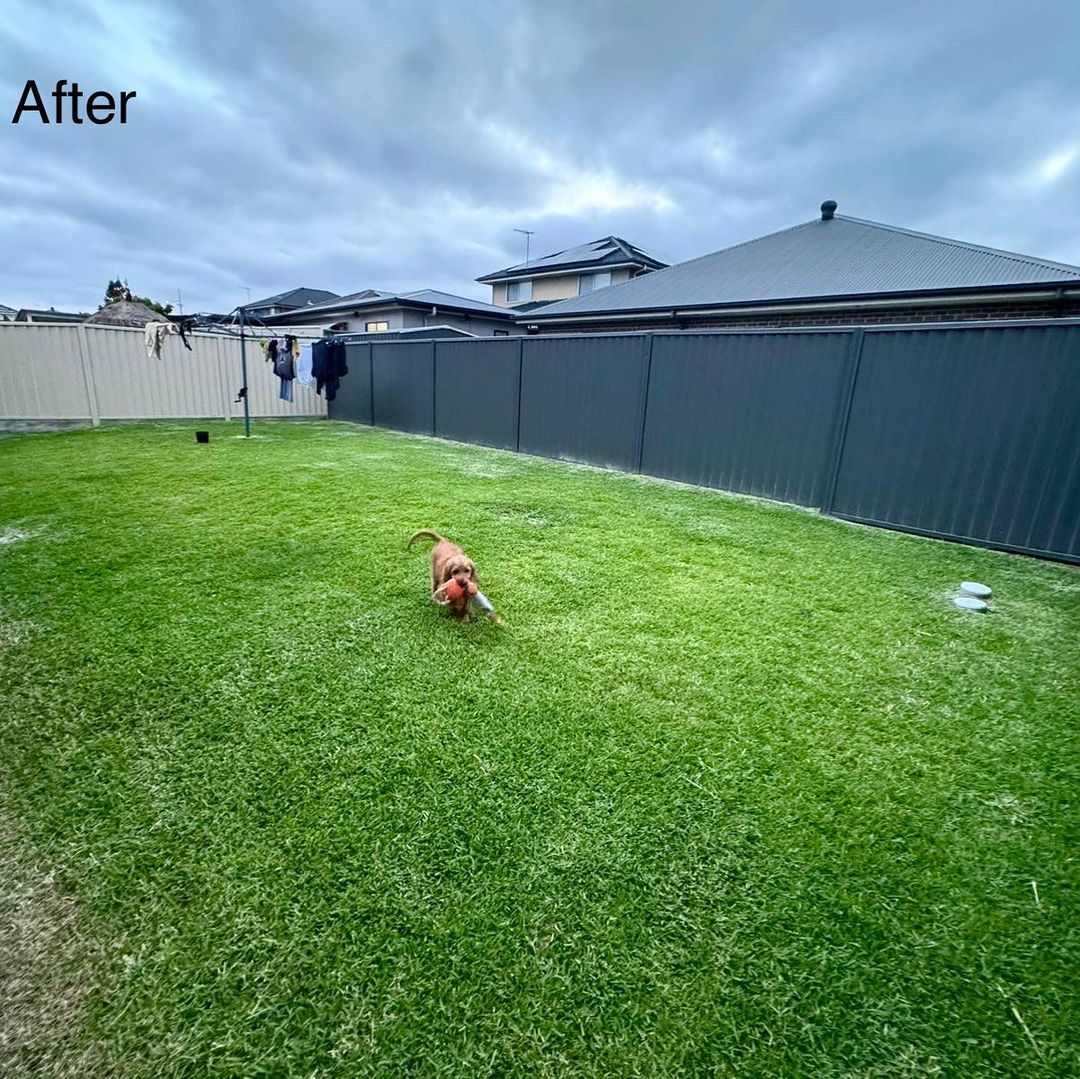 FRESHEN UP THE YARD WITH A MOW AND HEDGING 🌱